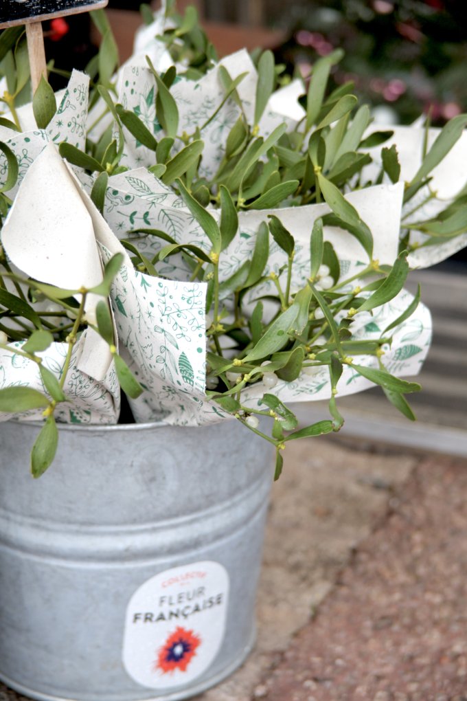 Les lutins de L'Échoppe photo 9